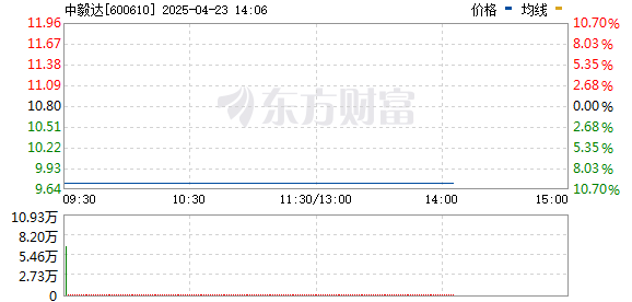 R图 600610_0