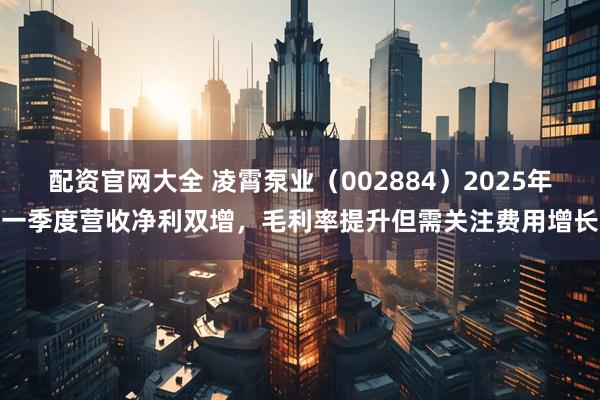 配资官网大全 凌霄泵业（002884）2025年一季度营收净利双增，毛利率提升但需关注费用增长